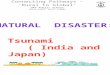 Natural Disaster: Tsunami ( India and Japan)