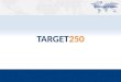 Target 250 Services Overview