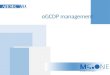 OGCDP Management