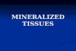 Mineralized tissues (1)