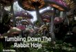 Tumbling down the rabbit hole - College Short Film Proposal Pitch