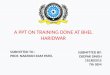 Training at BHEL Haridwar