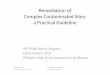 Remediation of Complex Contaminated Sites: a Practical Guideline (2012)