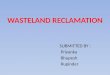 wasteland reclamation