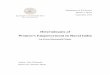 Determinants of-women-s-empowerment-in-rural-india-an-intra-household-study