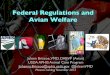 U.S. Federal Regulations and Avian Welfare