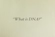 DNA Lecture slides