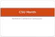 CSU Month 3