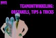 Teamontwikkeling   Obstakels, Tips & Tricks