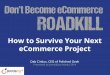 Don't Become eCommerce Roadkill: How to Survive Your Next eCommerce Project