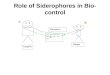 Role of Siderophores in Bio-Control