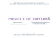 Proiect de Diploma Carmen Rosu