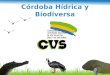 C³rdoba H­drica y Biodiversa 1. Inundaci³n Corregimiento Cecilia