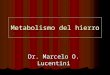 Metabolismo del hierro Dr. Marcelo O. Lucentini. METABOLISMO DEL HIERRO: ALIMENTOS HIERRO MEDICINAL TRANSFUSIONES DE ERITROCITOS MENSTRUACIÓN DESCAMACIÓN