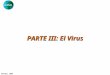 GIDSAS Chotani, 2003 PARTE III: El Virus. GIDSAS Chotani, 2003 Coronavirus Espiral simple de RNA, no segmentado, cubierto, ~31,000 NTs 2 serogrupos (229E