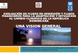 EVALUACIÓN DE FLUJOS DE INVERSIÓN Y FLUJOS FINANCIEROS PARA LA ADAPTACIÓN Y MITIGACION AL CAMBIO CLIMÁTICO EN LA REPÚBLICA DOMINICANA UNA VISION GENERAL