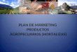 PLAN DE MARKETING PRODUCTOS AGROPECUARIOS (HORTALIZAS)