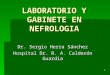 1 LABORATORIO Y GABINETE EN NEFROLOGIA Dr. Sergio Herra Sánchez Hospital Dr. R. A. Calderón Guardia