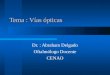 Tema : Vías ópticas Dr. : Abraham Delgado Oftalmólogo Docente CENAO