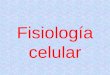 Fisiología celular. Metabolismo Concepto: suma de todas las reacciones y transformaciones bioquímicas que ocurren dentro de la célula. Cada célula desarrolla