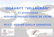 GGAVATT VILLAGRAN 12 productores BOVINOS PRODUCTORES DE LECHE M.V.Z. ADRIAN GARCIA GRANADOS