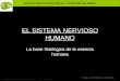 BACHILLERATO MARIANISTAS + COMPAÑÍA DE MARÍA Prof. VÍCTOR M. VITORIA Anatomía y Fisiología Humanas - HISTOLOGÍA EL SISTEMA NERVIOSO HUMANO La base fisiológica