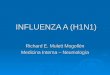 INFLUENZA A (H1N1) Richard E. Mulett Mogollón Medicina Interna – Neumología