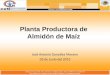 Planta Productora de Almidón de Maíz José Antonio González Moreno 05 de Junio del 2013