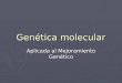 Genética molecular Aplicada al Mejoramiento Genético