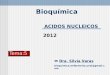 ACIDOS NUCLEICOS Bioquímica Dra. Silvia Varas bioquimica.enfermeria.unsl@gmail.com Tema:5 2012