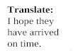 1 Translate: I hope they have arrived on time.. 2 Translate: Yo espero que ellos hayan llegado a tiempo