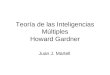Teoría de las Inteligencias Múltiples Howard Gardner Juan J. Martell
