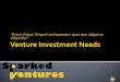 Venture Investment Needs