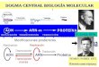 DOGMA CENTRAL BIOLOGÍA MOLECULAR TEMIN: NOBEL 1975 Retrotranscriptasa F. Crick 1970