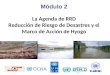 La Agenda de RRD Reducción de Riesgo de Desastres y el Marco de Acción de Hyogo Módulo 2