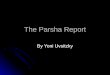 Yoni Parsha Report