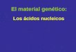 Los ácidos nucleicos El material genético:. Los ácidos nucleicos son: ADN (ácido desoxirribonucleico) ARN (ácido ribonucleico) Son polinucleótidos: polímeros