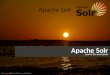 Apache Solr - search for everyone!