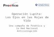 Operación Lupita: Los Ojos en las Hojas de Vida Una campaña de Proética y la Red Nacional Anticorrupción