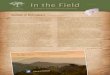 In the Field. Pantropical Scholars Newsletter  (february 2012)