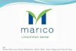 Marico IT structure