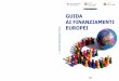Guida ai finanziamenti europei, aggiornata 2009