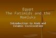 The fatimids and the mamluks