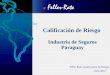 Calificación de Riesgo Industria de Seguros Paraguay Feller Rate Clasificadora de Riesgo Julio 2012