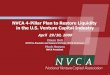 NVCA 4-Pillar Plan