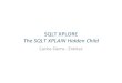 SQLT XPLORE -  The SQLT XPLAIN Hidden Child