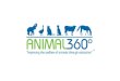 Animal360 Sample Design