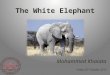 The White Elephant - Portfolio Selection and Alignment