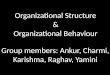 Organizational Structure & Behaviour