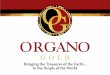 Organo Gold UK Powerpoint Presentation in English